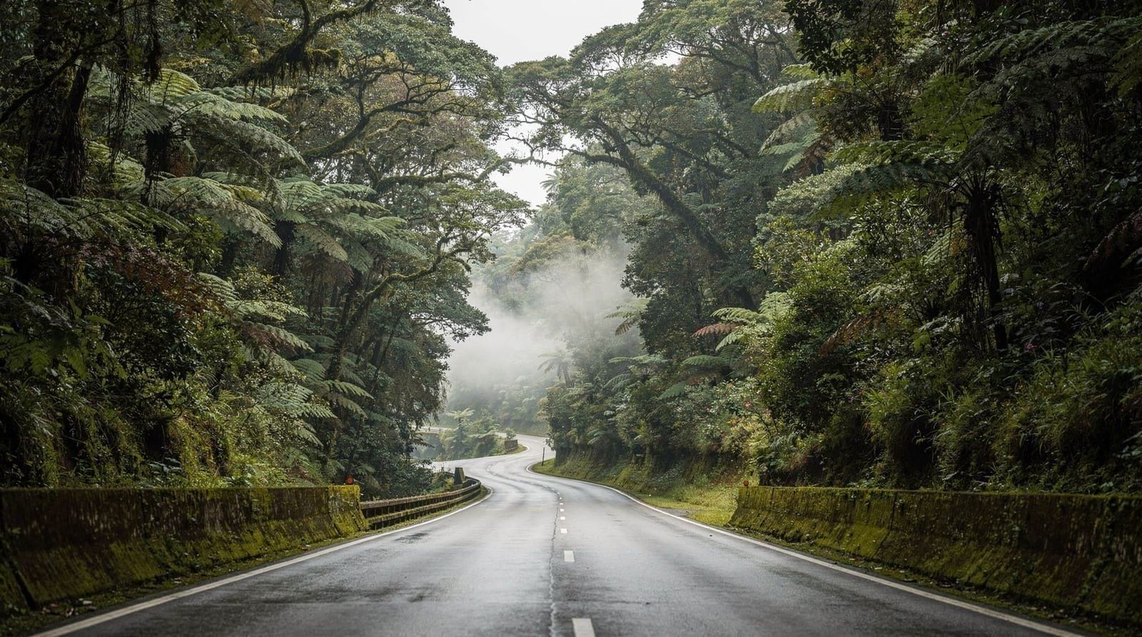 Escapada a las tierras altas de KL: itinerario de 4 días por Genting y Cameron Highlands